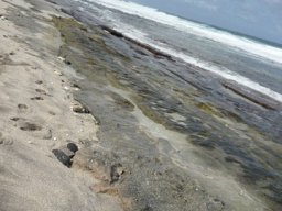 Visite de la petite cousine !